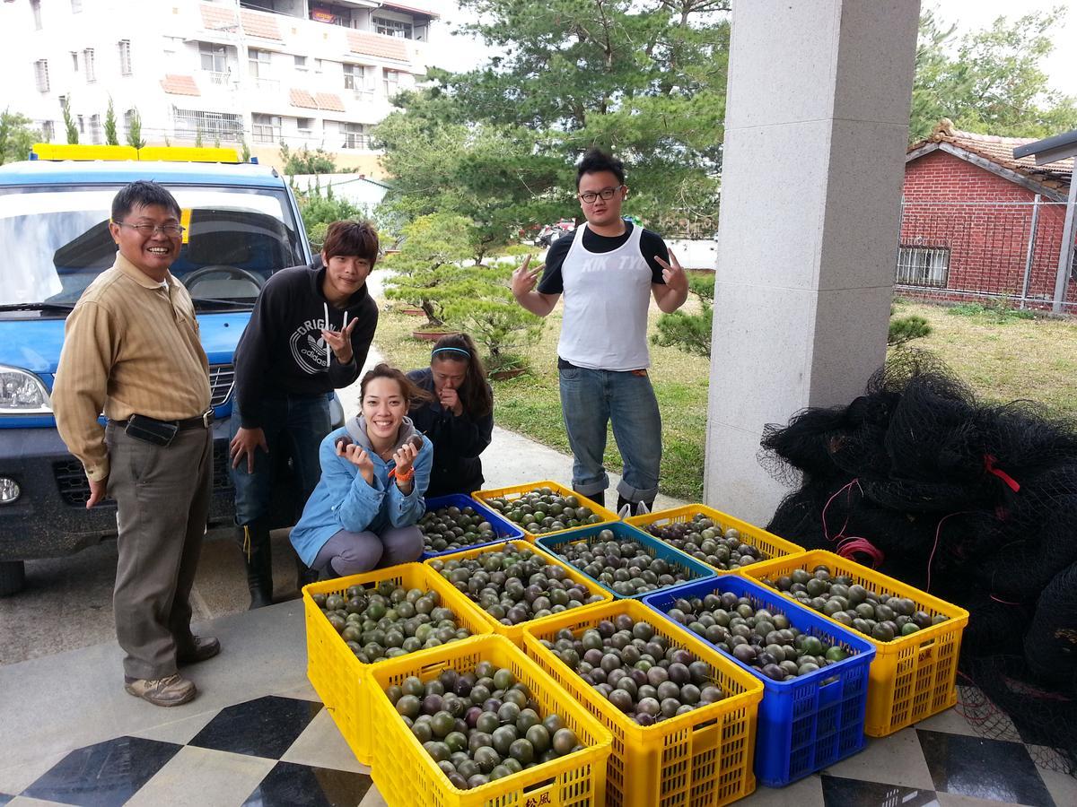 Songfeng Xiuxian Homestay Puli Exterior photo